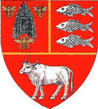 Vaslui